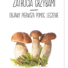 Zobacz zdjęcie: Ulotka Głównego Inspektoratu Sanitarnego
