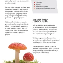 Zobacz zdjęcie: Ulotka Głównego Inspektoratu Sanitarnego
