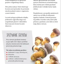 Zobacz zdjęcie: Ulotka Głównego Inspektoratu Sanitarnego