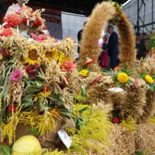 Zobacz zdjęcie: Gminne Dożynki w Powiecie Bolesławieckim