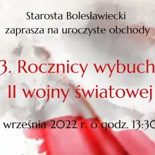 Zobacz zdjęcie: Infografiki Powiatu Bolesławieckiego