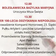 Zobacz zdjęcie: Infografiki Powiatu Bolesławieckiego