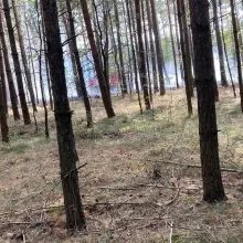 Zobacz zdjęcie: Działania OSP Krzyżowa