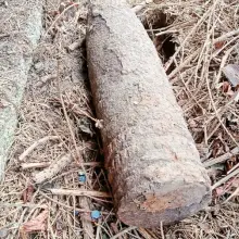 Zobacz zdjęcie: Akcja saperów w Nowogrodźcu