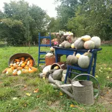 Zobacz zdjęcie: Dyniowy Kącik przy Wiedźmie w Raciborowicach
