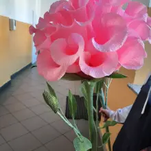 Zobacz zdjęcie: Cyprian Oleś z ZSM Bolesławiec