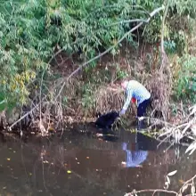 Zobacz zdjęcie: Akcja mundurowych w Gryfowie Śląskim