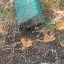 Zobacz zdjęcie: Słupek