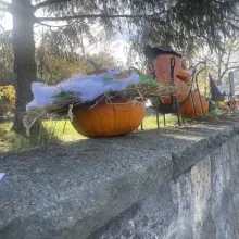 Zobacz zdjęcie: Halloweenowa wystawa w Oxpressie