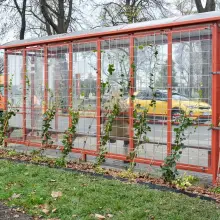 Zobacz zdjęcie: Przystanek przy Ogrodowej