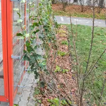 Zobacz zdjęcie: Przystanek przy Ogrodowej