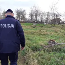 Zobacz zdjęcie: Działania policji
