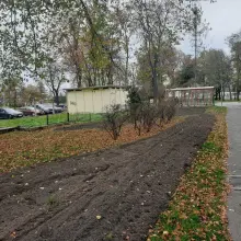 Zobacz zdjęcie: Projekt „Kwitnące Łąki”