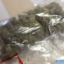 Zobacz zdjęcie: Marihuana
