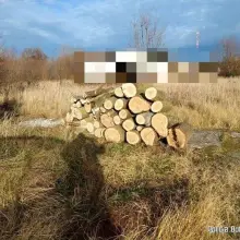 Zobacz zdjęcie: Drewno
