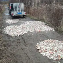 Zobacz zdjęcie: Działania SM Jelenia Góra