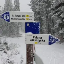 Zobacz zdjęcie: Trasy #NaPolanie
