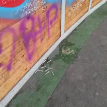 Zobacz zdjęcie: Muszla w paku Bonina w Bolesławcu