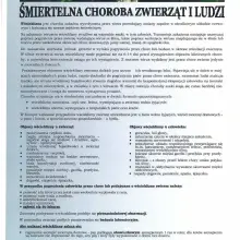 Zobacz zdjęcie: Materiały Powiatowego Lekarza Weterynarii w Bolesławcu