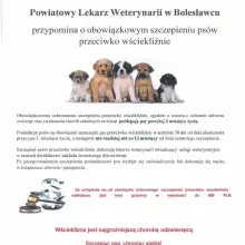 Zobacz zdjęcie: Materiały Powiatowego Lekarza Weterynarii w Bolesławcu