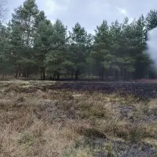Zobacz zdjęcie: Pożar koło Pasternika i Motyli