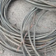 Zobacz zdjęcie: Materiały policji