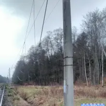 Zobacz zdjęcie: Materiały policji