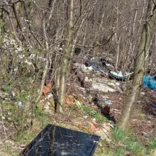 Zobacz zdjęcie: Pełno śmieci na terenie zielonym między Kruszynem a Bolesławcem