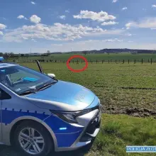 Zobacz zdjęcie: Radiowóz i motorower