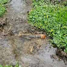 Zobacz zdjęcie: Pocisk w strumyku