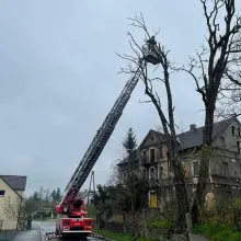 Zobacz zdjęcie: Akcja strażaków w Różyńcu