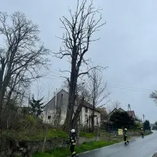 Zobacz zdjęcie: Akcja strażaków w Różyńcu
