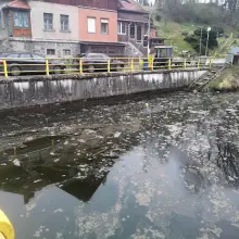 Zobacz zdjęcie: Zanieczyszczony Bóbr