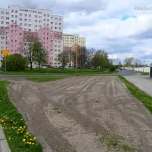 Zobacz zdjęcie: Powstają kwietne łąki w Bolesławcu