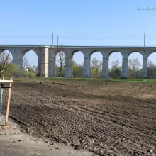 Zobacz zdjęcie: Powstają kwietne łąki w Bolesławcu