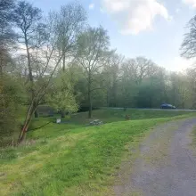 Zobacz zdjęcie: Skoszone trawy w Bolesławcu
