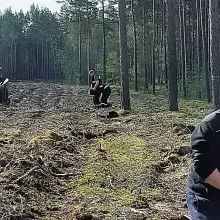 Zobacz zdjęcie: Akcja sadzenia drzew