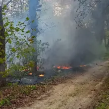 Zobacz zdjęcie: Akcja straży pożarnej w gminie Gromadka