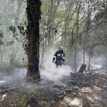 Zobacz zdjęcie: Akcja straży pożarnej w gminie Gromadka