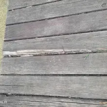 Zobacz zdjęcie: „Działalność” wandali w parku Bonina w Bolesławcu