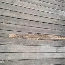 Zobacz zdjęcie: „Działalność” wandali w parku Bonina w Bolesławcu