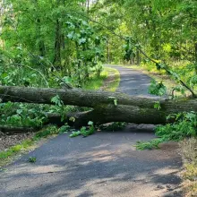 Zobacz zdjęcie: Interwencja strażaków w miejscowości Ołobok