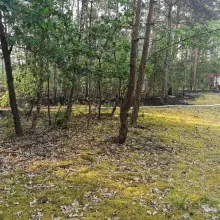 Zobacz zdjęcie: Interwencja strażaków w Lubuskiem