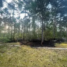 Zobacz zdjęcie: Pożar w Kozłowie