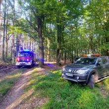 Zobacz zdjęcie: Akcja straży pożarnej w lesie między Nowogrodźcem a Nawojowem