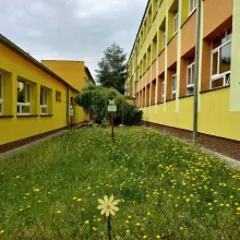 Zobacz zdjęcie: dziki ogród przy Szkole Podstawowej nr 4