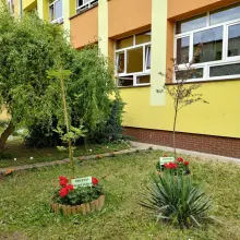 Zobacz zdjęcie: dziki ogród przy Szkole Podstawowej nr 4