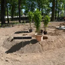 Zobacz zdjęcie: Prace w parku przy Zgorzeleckiej w Bolesławcu
