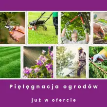 Zobacz zdjęcie: Pielęgnacja Ogrodów i Terenów Zielonych przez Czystasprawa24.pl z Bolesławca