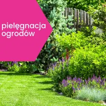 Zobacz zdjęcie: Pielęgnacja Ogrodów i Terenów Zielonych przez Czystasprawa24.pl z Bolesławca